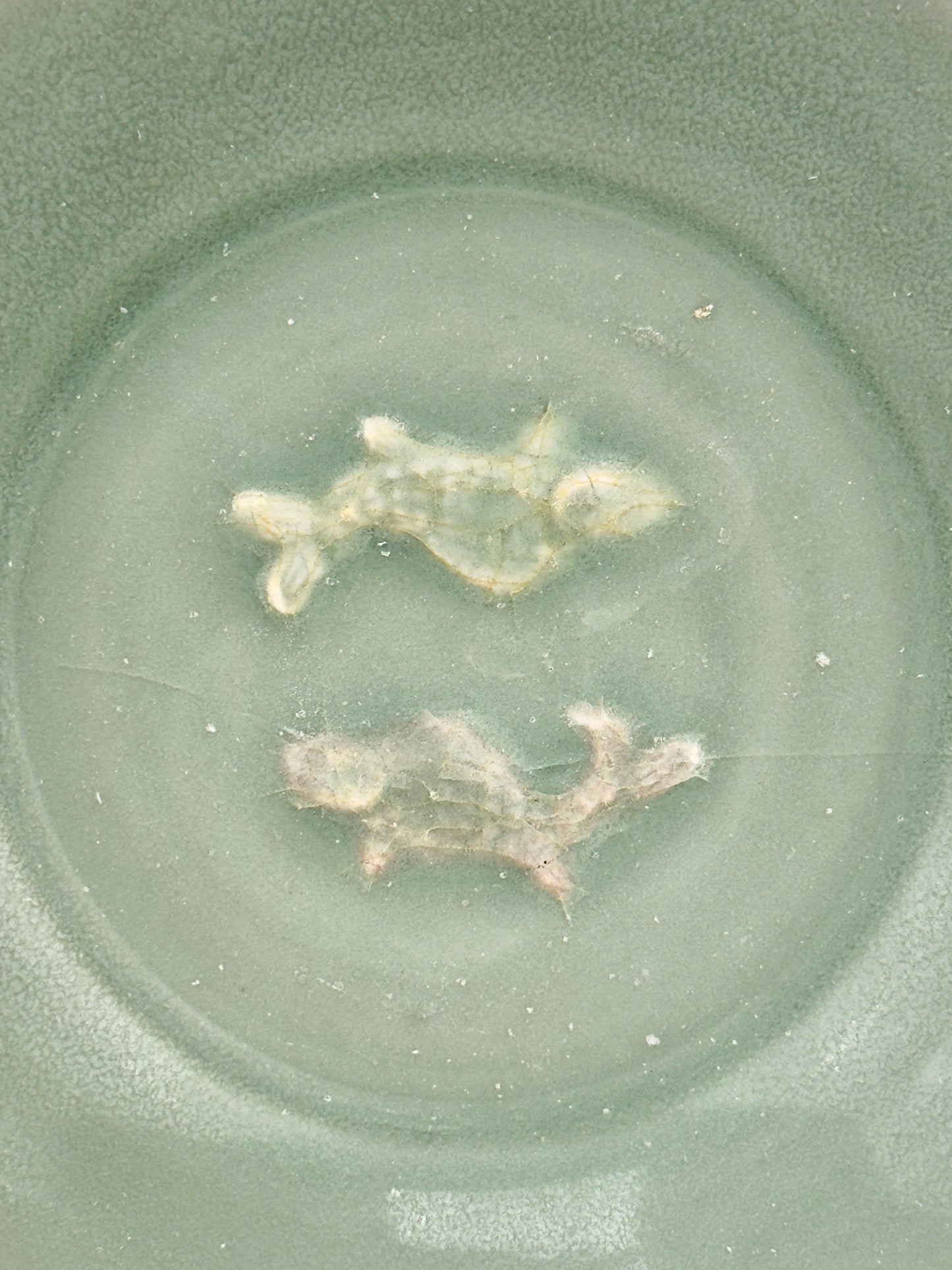 SMALL LONGQUAN CELADON 'TWIN FISH' DISH, SOUTHERN SONG DYNASTY