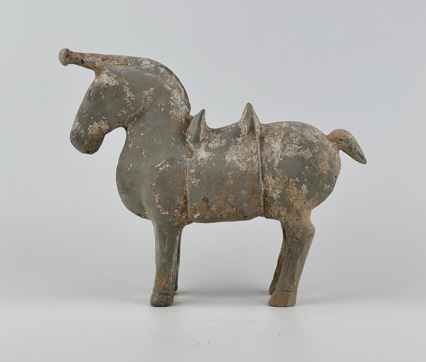 Figure of a Saddled Horse, Earthenware with traces of white slip, Western Jin-Han Dynasty