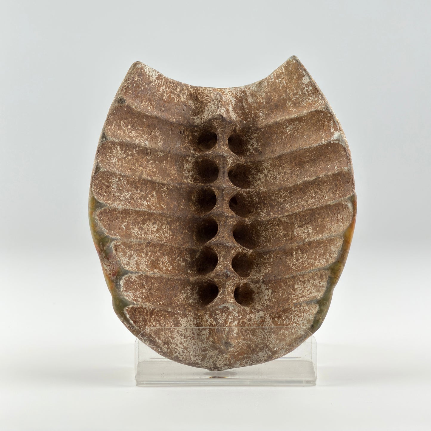 Rare Calcified Jade Carving of 'Tortoise Shell' presumably Neolithic Period, Hongshan Culture