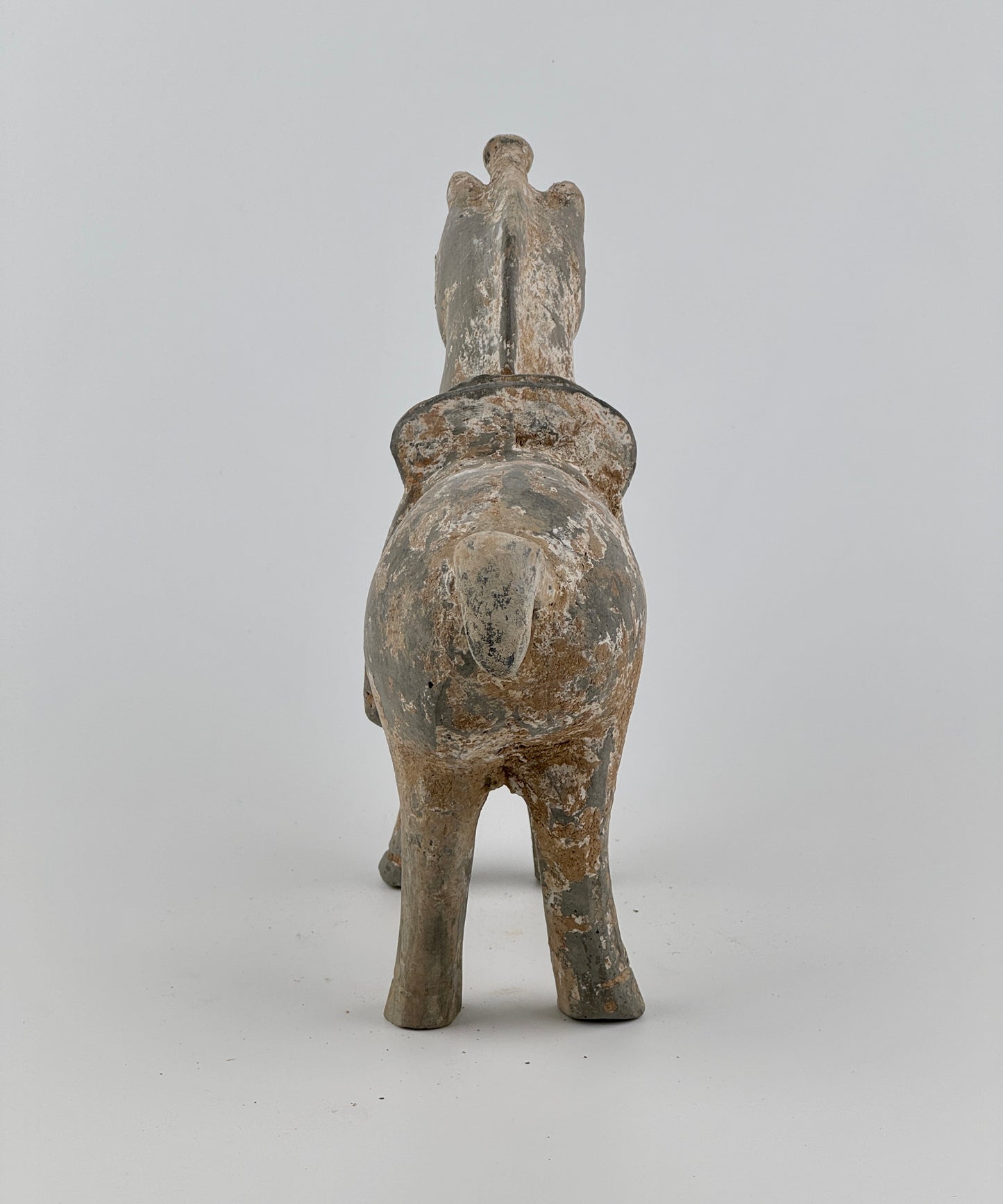 Figure of a Saddled Horse, Earthenware with traces of white slip, Western Jin-Han Dynasty