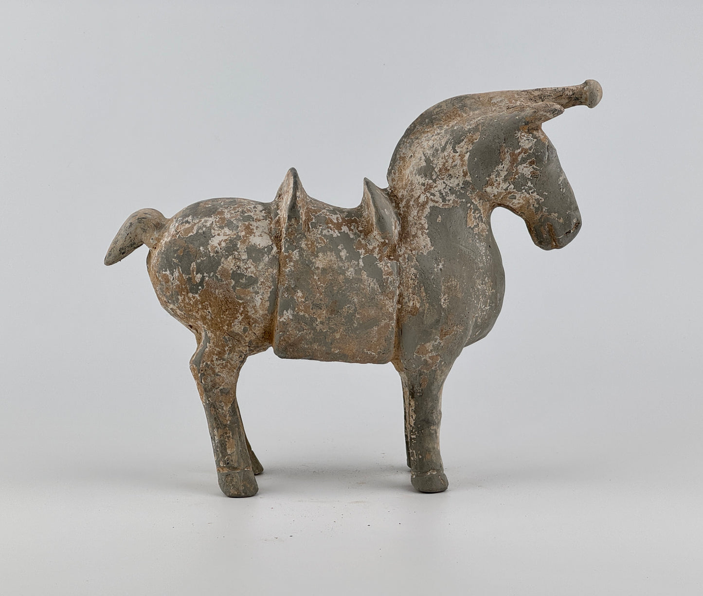 Figure of a Saddled Horse, Earthenware with traces of white slip, Western Jin-Han Dynasty