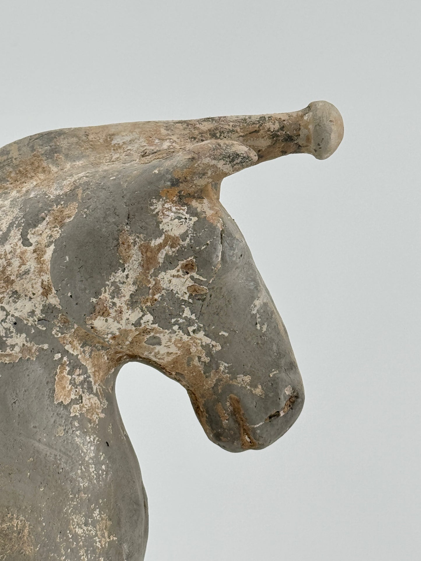 Figure of a Saddled Horse, Earthenware with traces of white slip, Western Jin-Han Dynasty