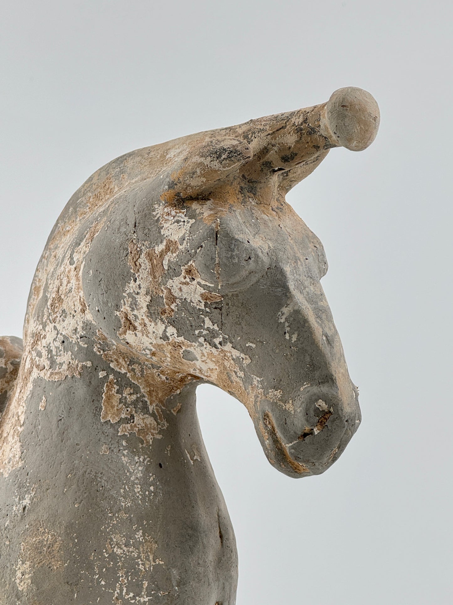 Figure of a Saddled Horse, Earthenware with traces of white slip, Western Jin-Han Dynasty