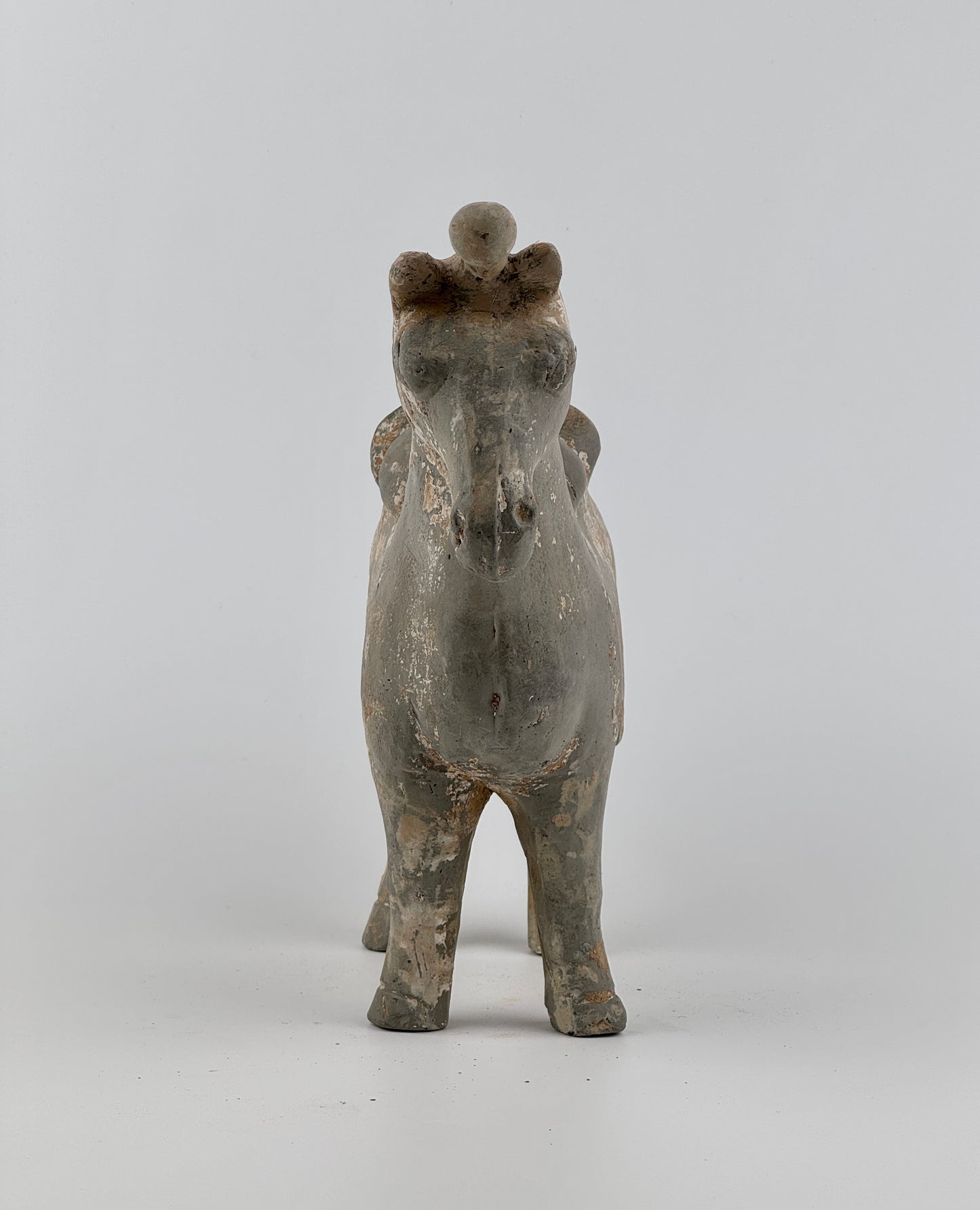 Figure of a Saddled Horse, Earthenware with traces of white slip, Western Jin-Han Dynasty