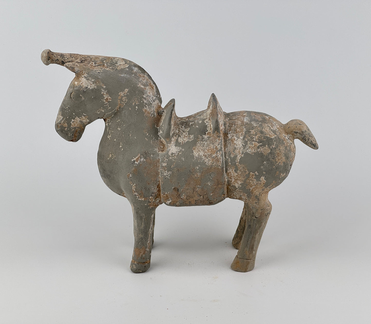 Figure of a Saddled Horse, Earthenware with traces of white slip, Western Jin-Han Dynasty