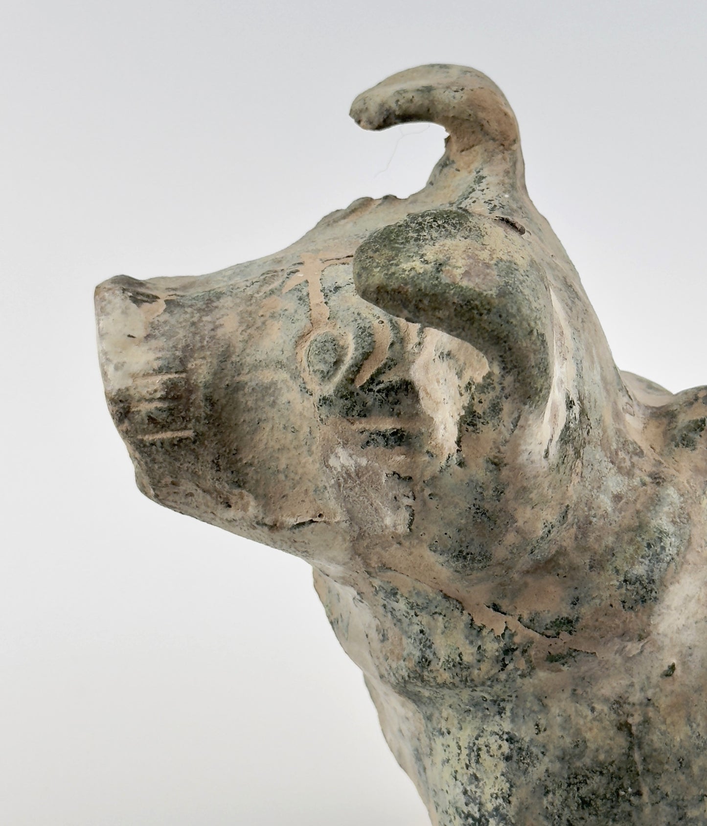 Green Glazed Red Pottery Figure of Dog, Han dynasty (206 BC-220 AD)