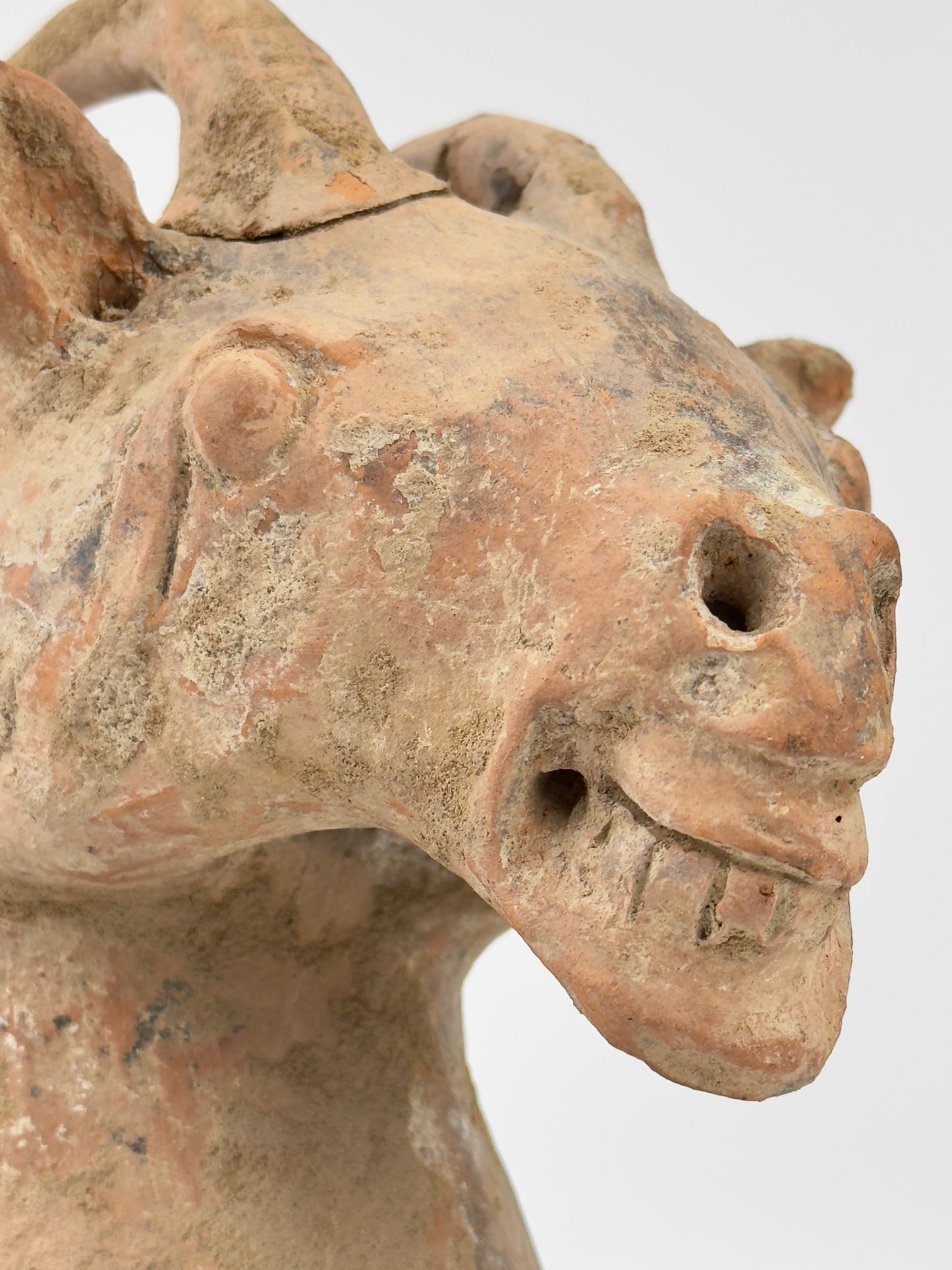 Pottery Goat Head, Han Dynasty (206 BCE to 220 CE)