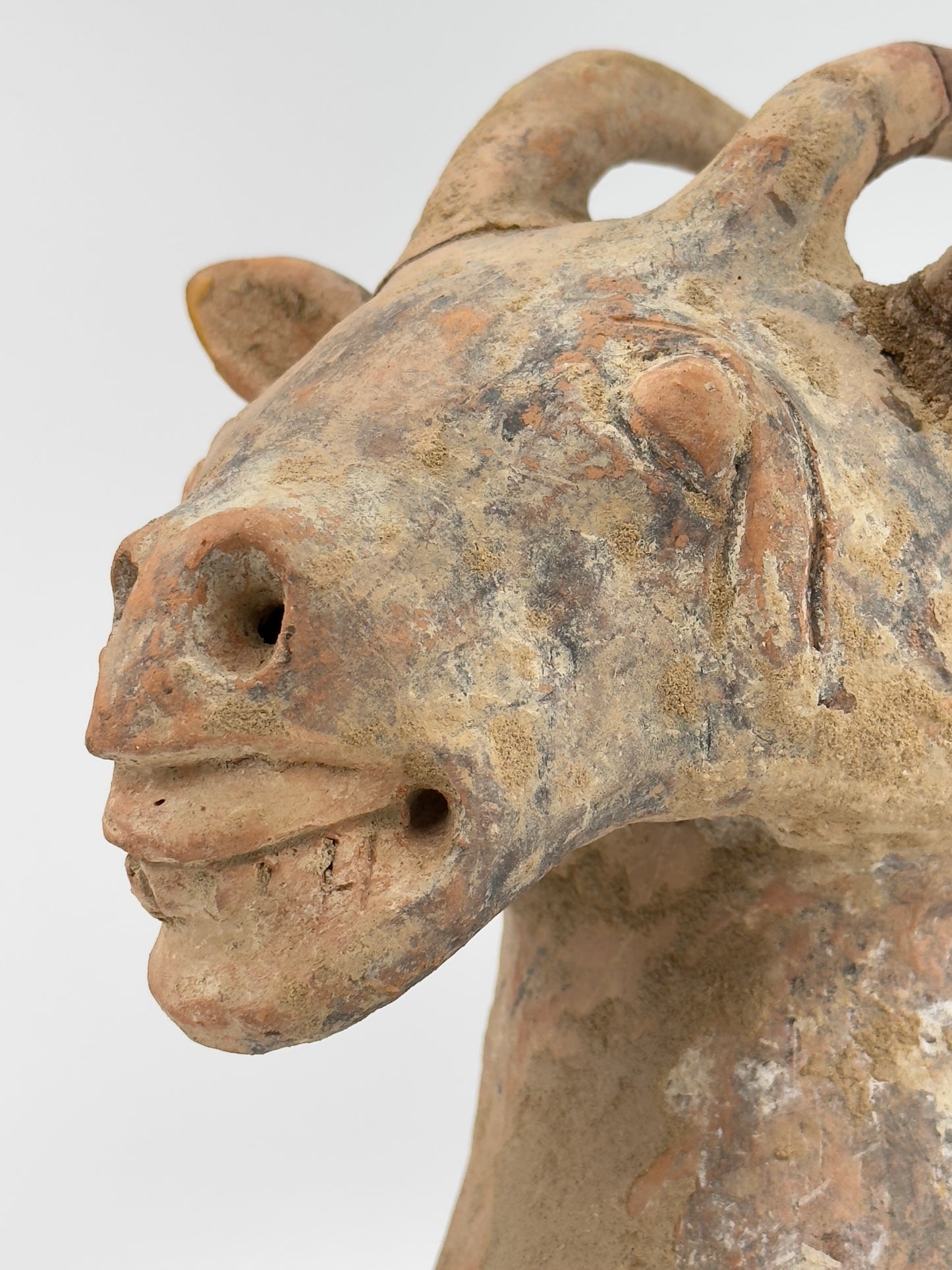 Pottery Goat Head, Han Dynasty (206 BCE to 220 CE)