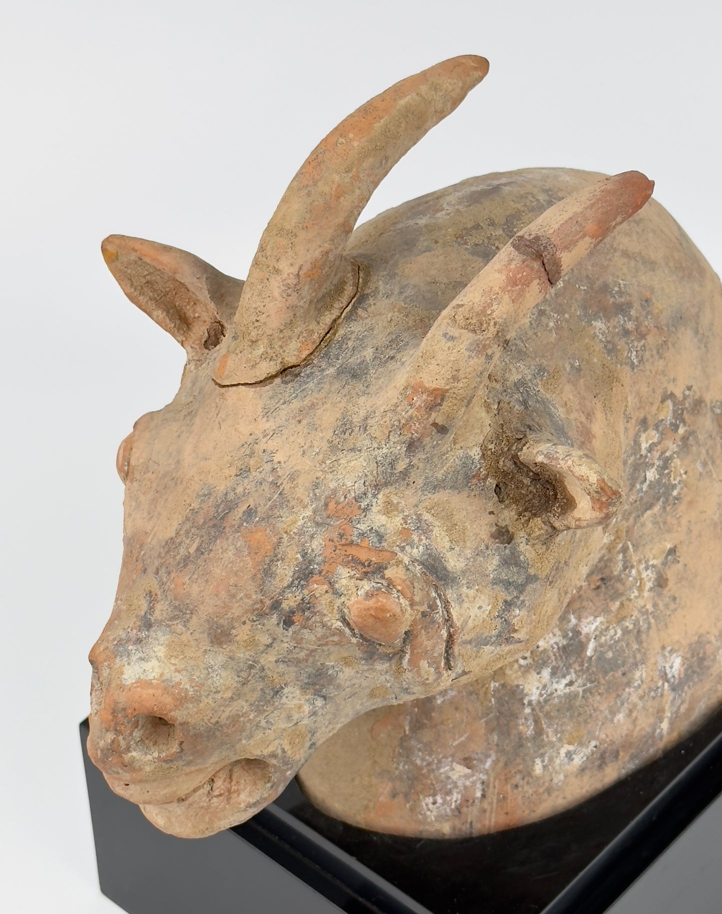 Pottery Goat Head, Han Dynasty (206 BCE to 220 CE)